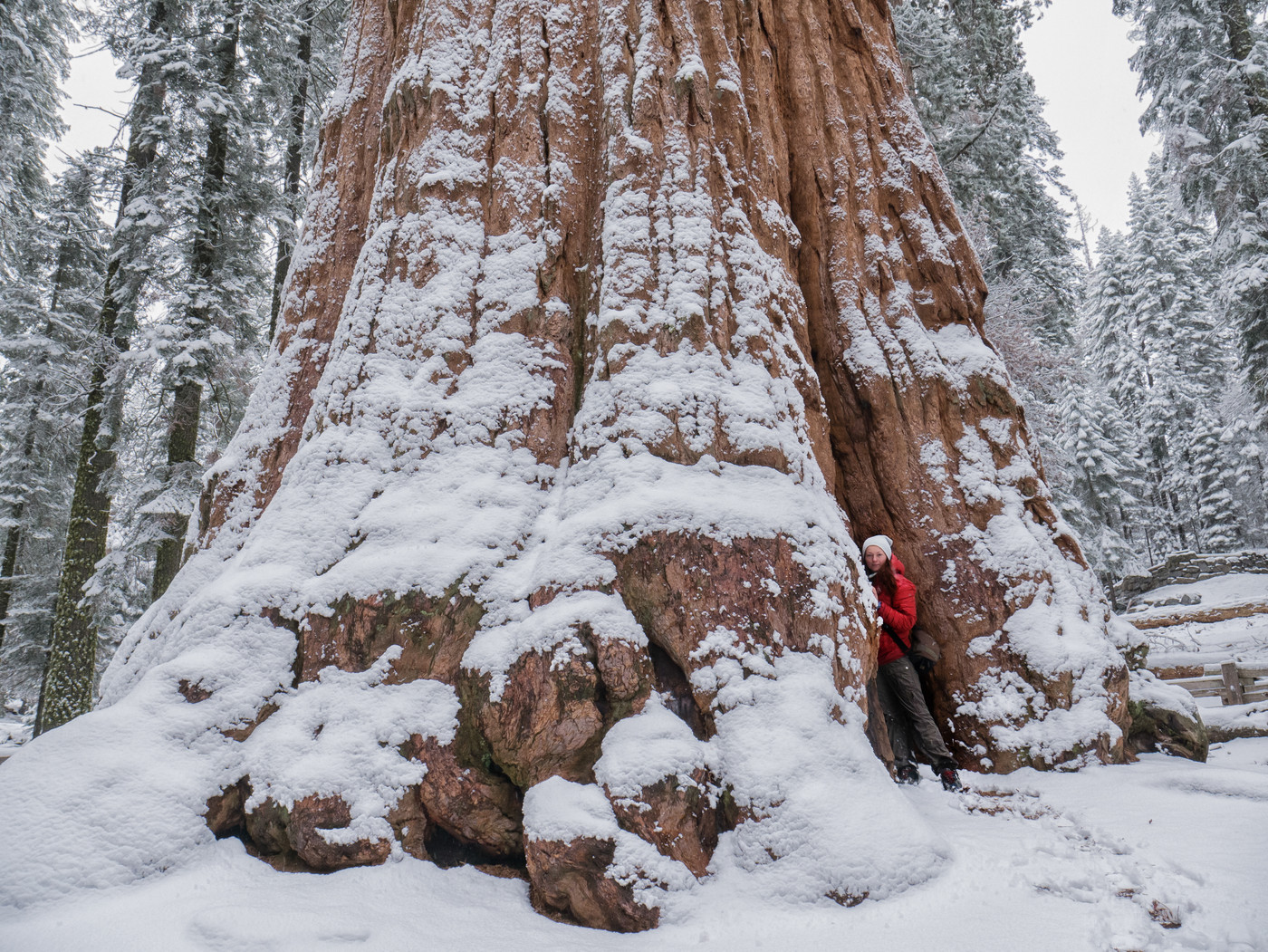 What Is The Best Time To Visit Sequoia National Park With Map And