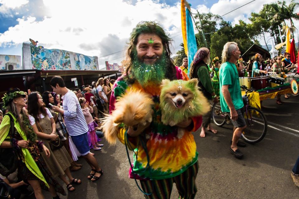420 festival
