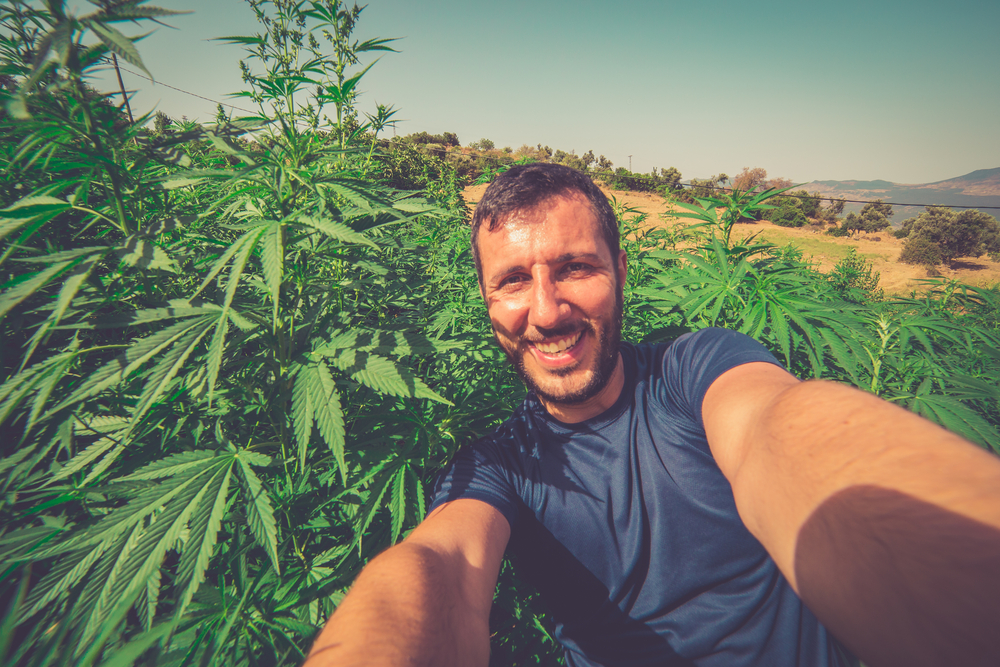The Best Weed-Friendly Travel Destinations for 2021 (with Map and ...