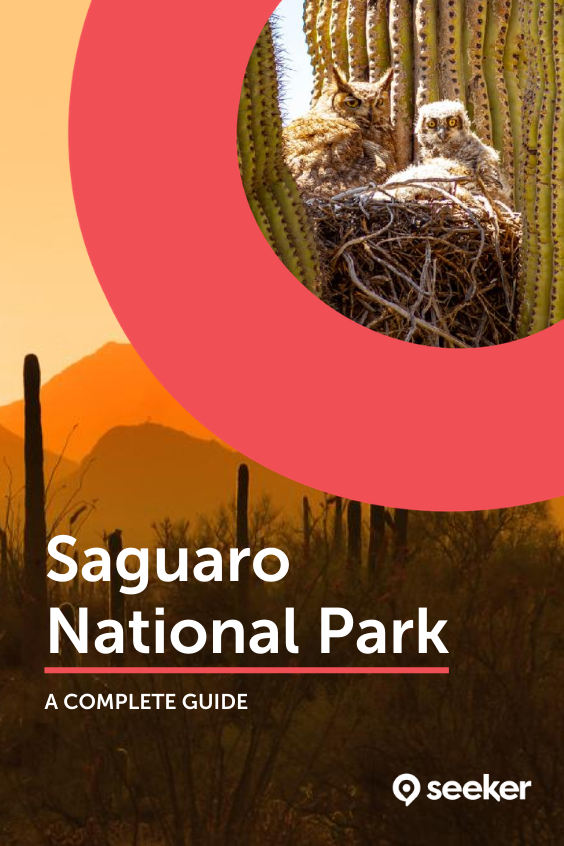 Saguaro National Park The Complete Guide For 2022 With Map And Images Seeker 6793