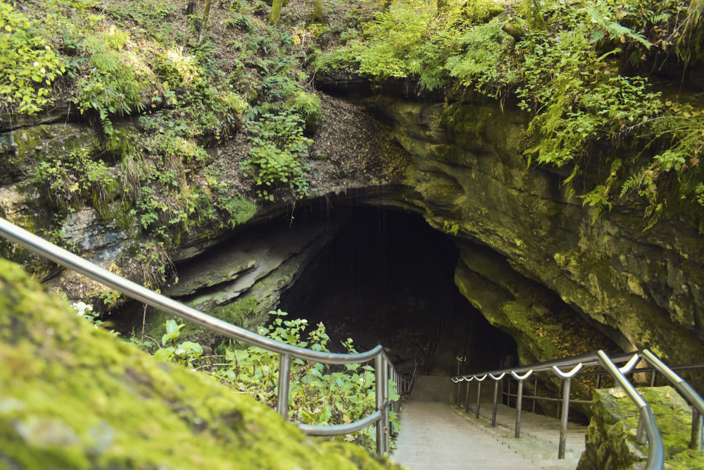 Mammoth Cave National Park: The Complete Guide for 2021 ...