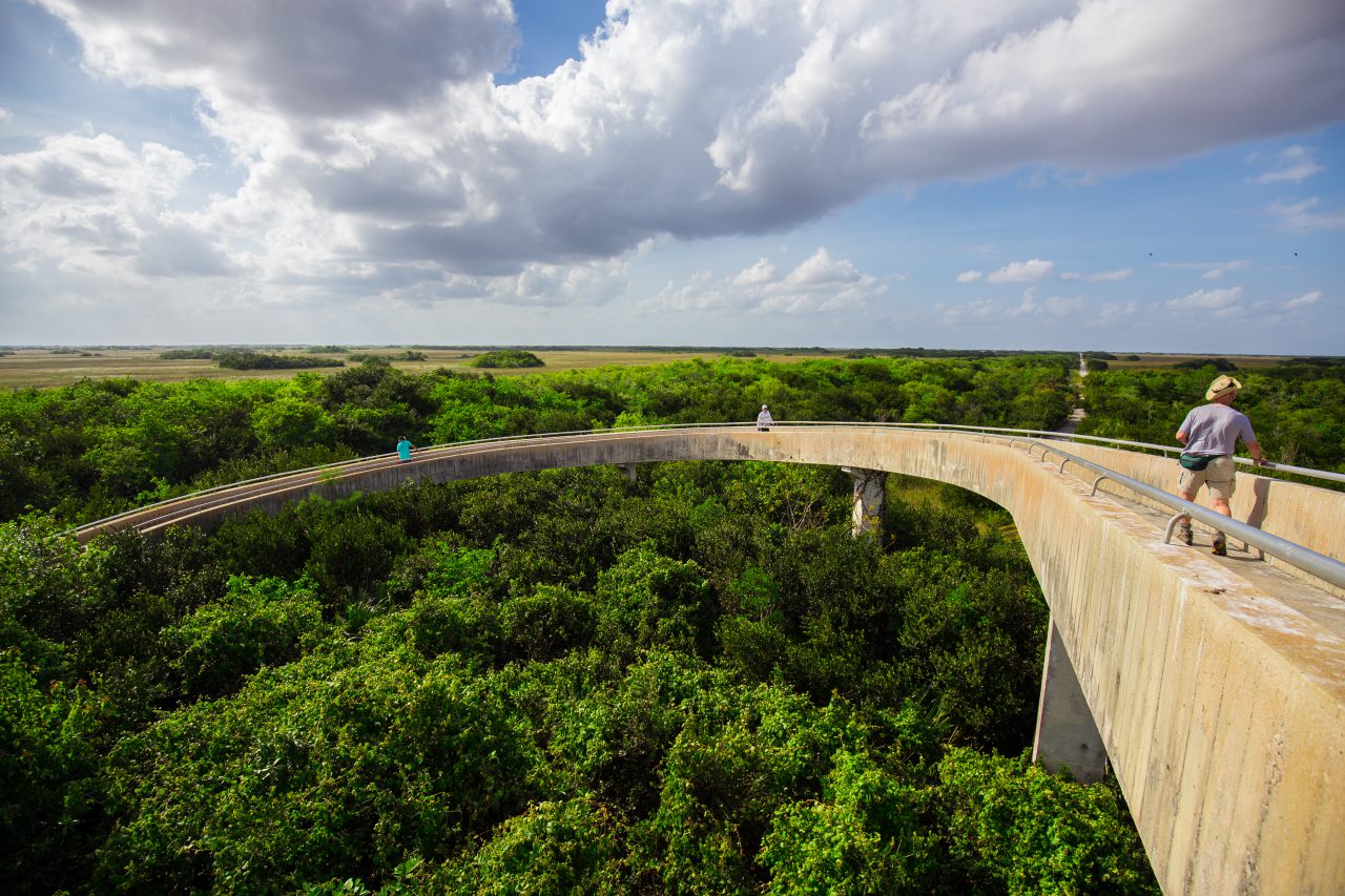 Everglades National Park: The Complete Guide for 2023 (with Map and ...