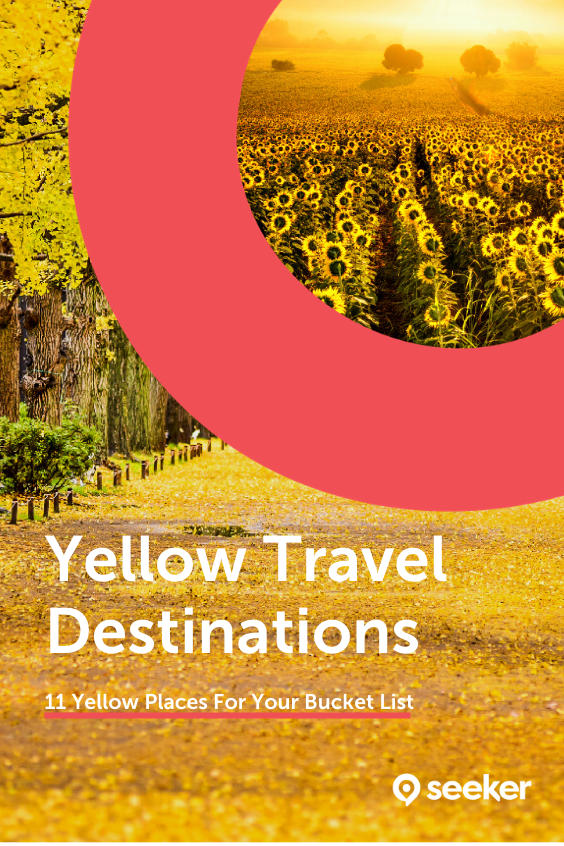 yellow travel