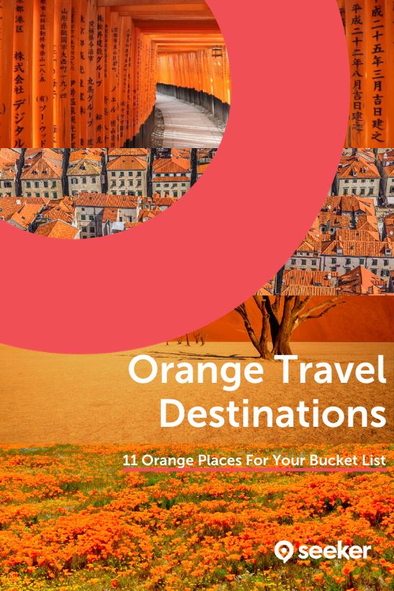 orange travel tubli