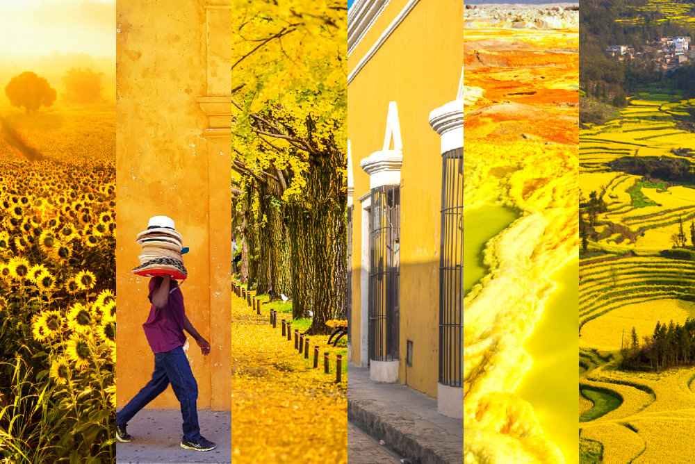 yellow travel packages