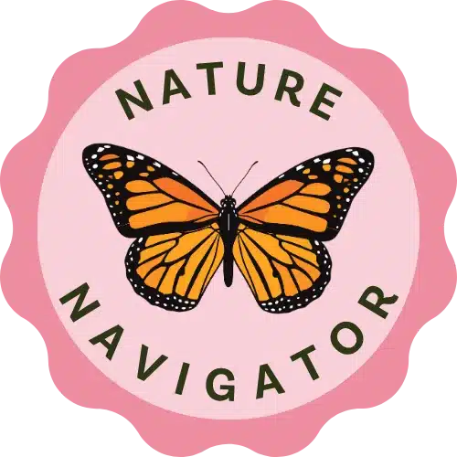 Nature Navigator badge - Summer of Shenanigans